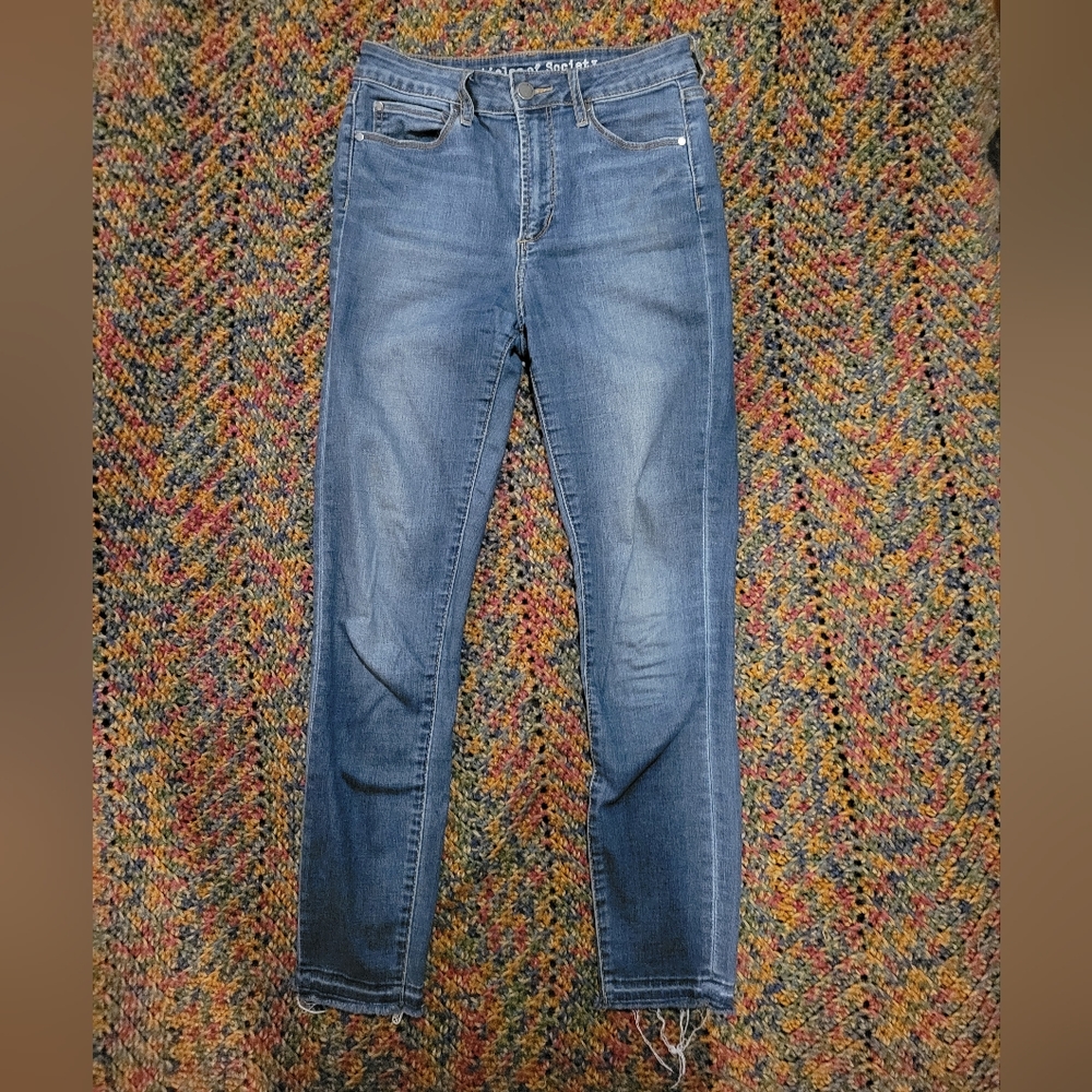 Skinny Ankle Jeans Articles of Society